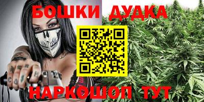 молекула духа Будённовск