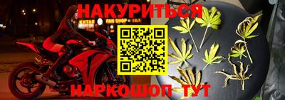 молекула духа Будённовск
