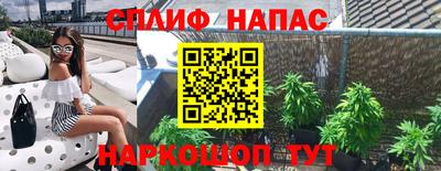 молекула духа Будённовск