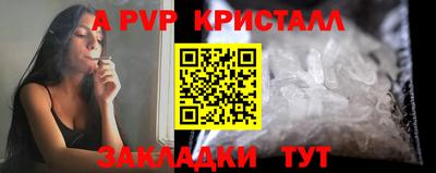 молекула духа Будённовск