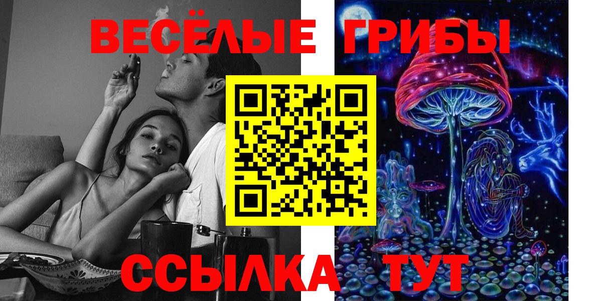 Галлюциногенные грибы GOLDEN TEACHER  где продают   Кулебаки  Вход с VPN 