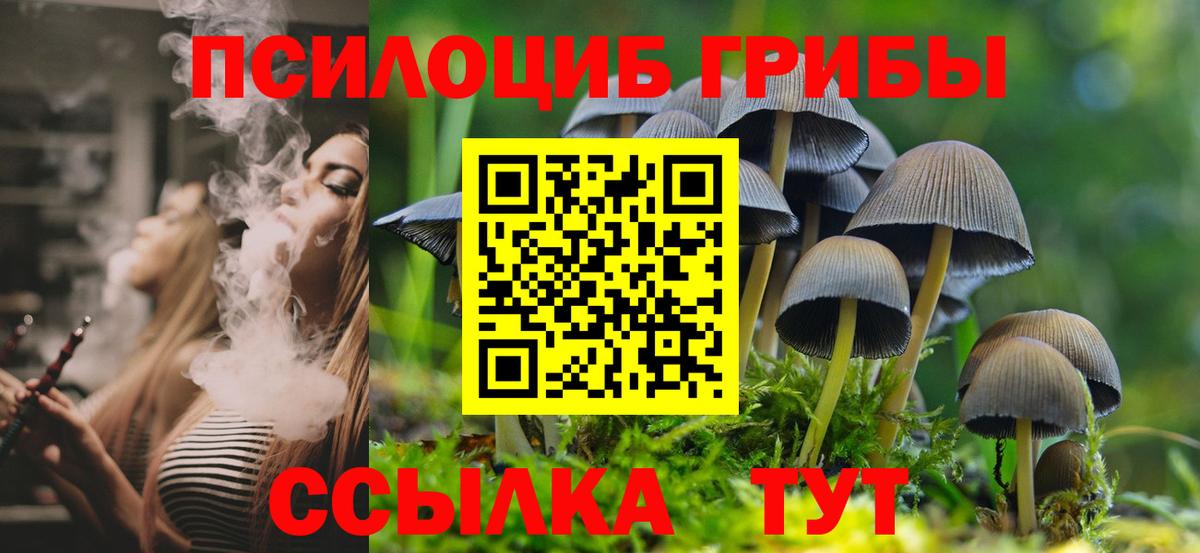 Галлюциногенные грибы ЛСД Кулебаки